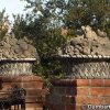 Dumbarton Oaks